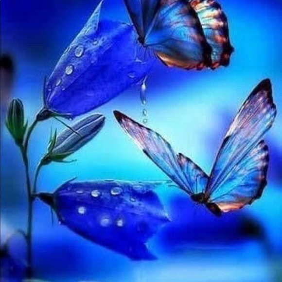 Meet your Posher, Kellie - Picture 6 of 8